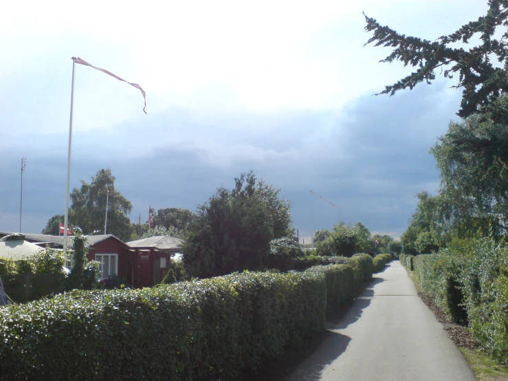 a street with a long hedge line along one side and a house in the back