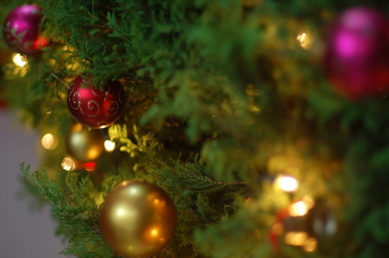 a closeup po of several ornaments hanging from a tree