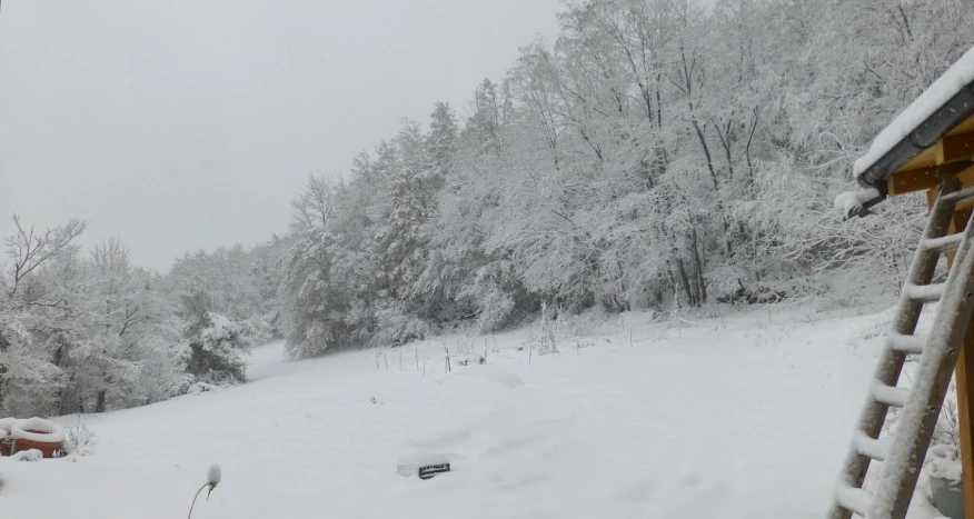 snow covered trees are surrounding a white house