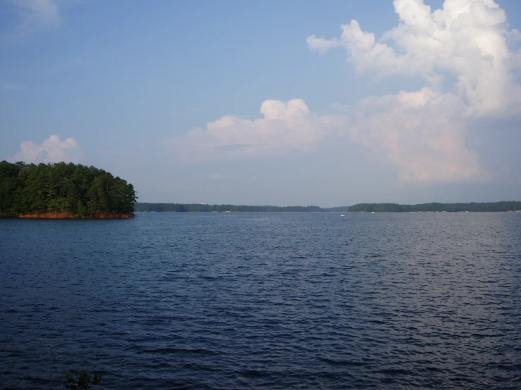 a body of water next to some trees on a sunny day