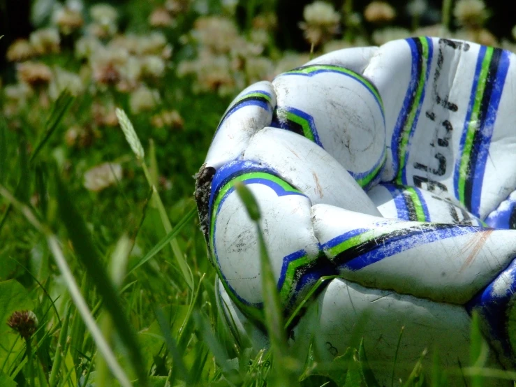 there is a soccer ball in the grass