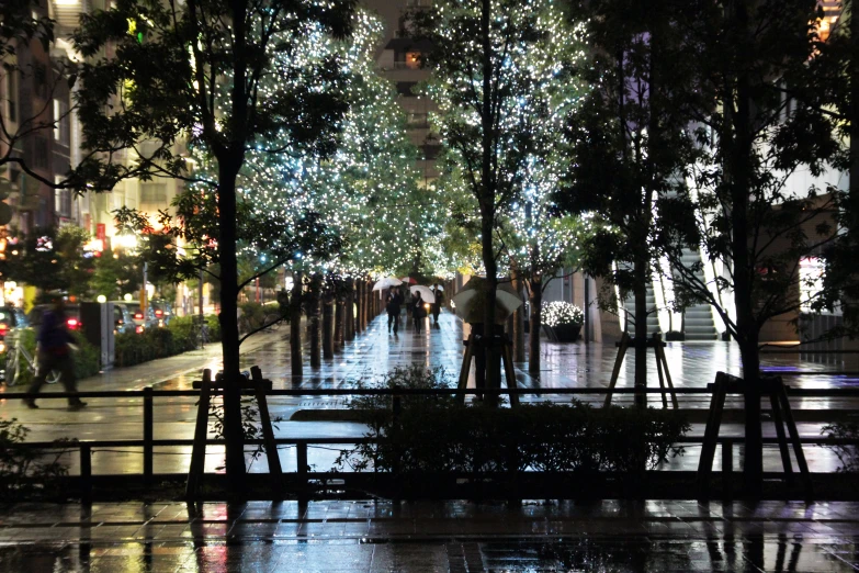 night time scene showing the tree lined streets with people and light reflecting in water