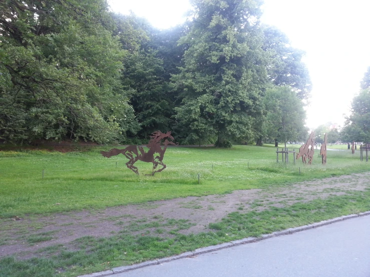 the trail is by the grass where giraffes are roaming