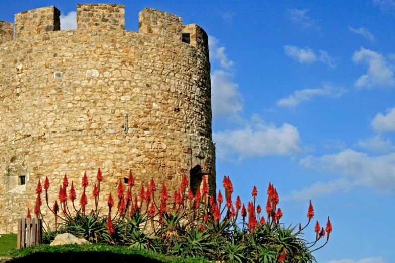 an old stone castle with red flowers growing out of it