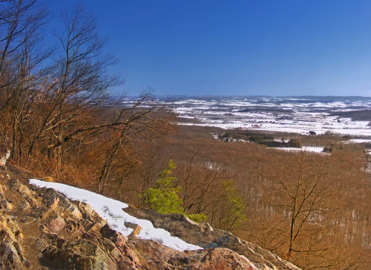 the trees and rocks along with the snow are very attractive