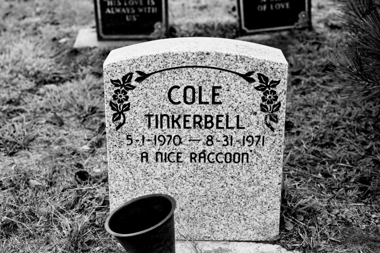 the grave of cole timber, and his cup are next to each other