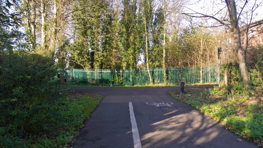 the paved area with a bicycle trail is visible through the forest