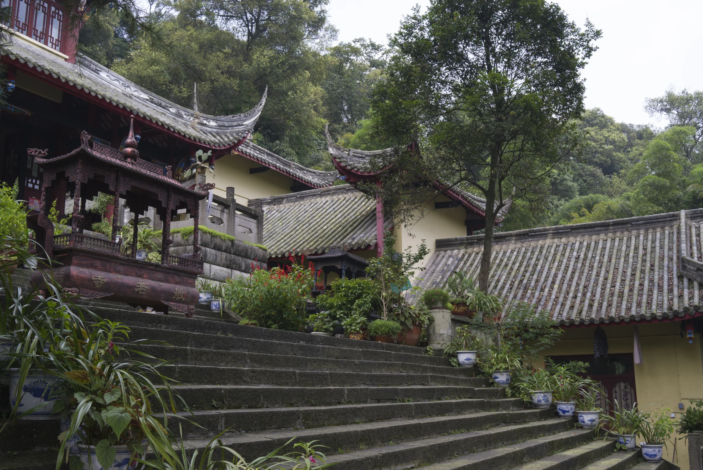 an asian style garden setting with stone steps