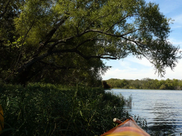 a canoe sits docked on the edge of a body of water