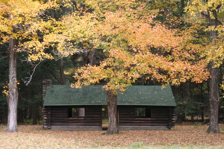 there are some log cabins in the woods