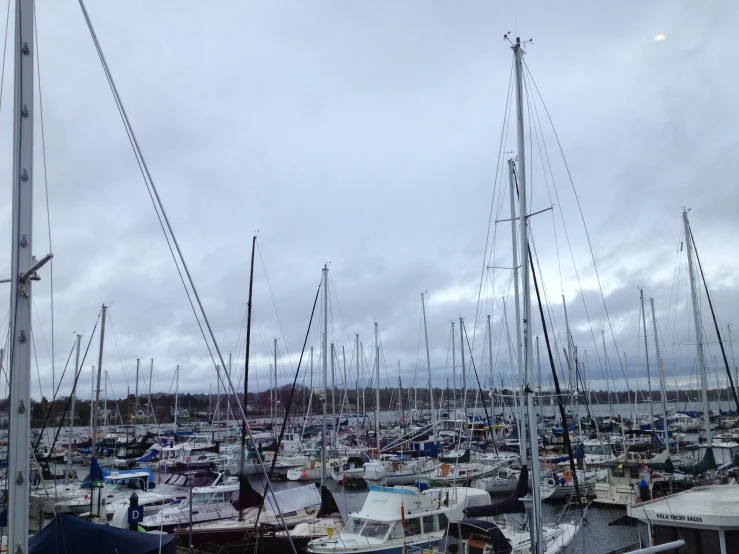 a harbor full of boats sailing next to each other