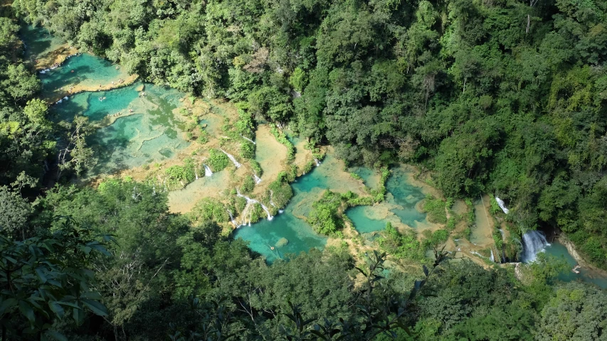 an aerial view of a river surrounded by lots of trees