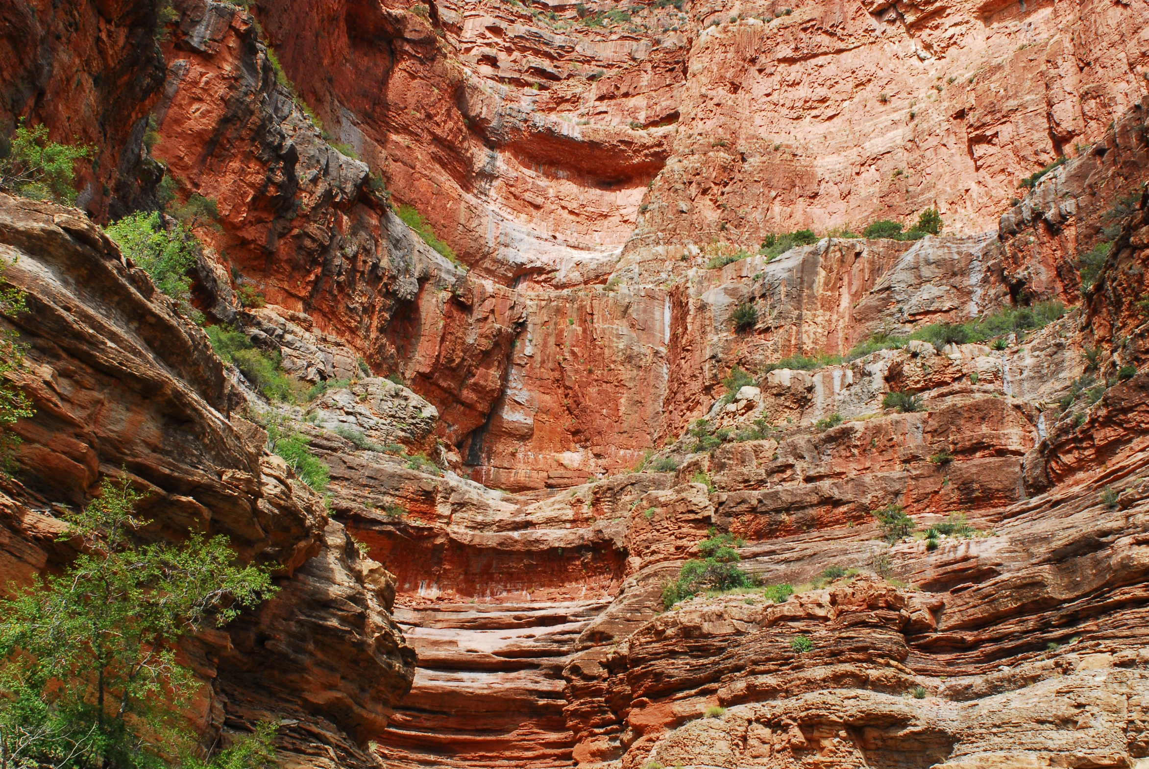 large rock face next to green trees in the middle of canyon