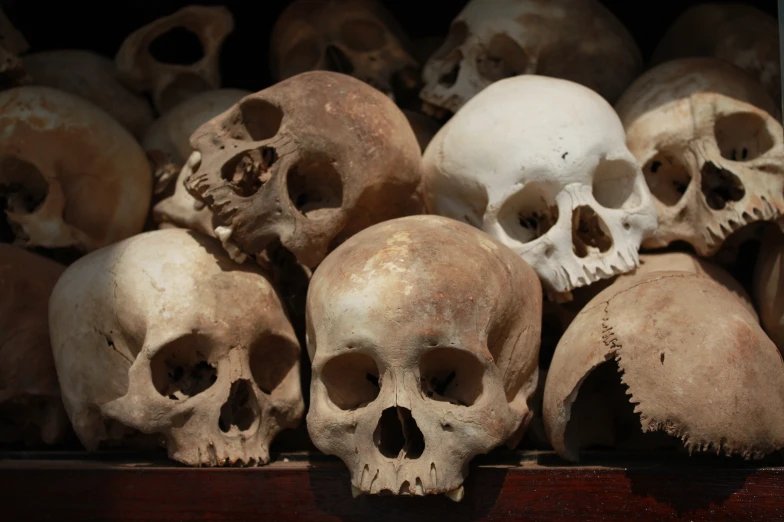 several rows of various sized and color skulls in a box