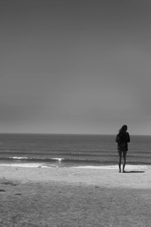 a person walking along the beach with a dog