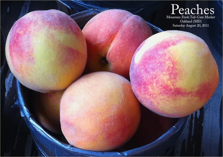 a metal bucket filled with several peaches sitting on top of a counter