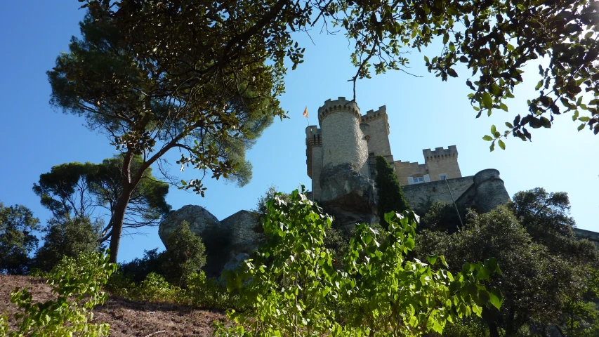 an image of a castle through some trees