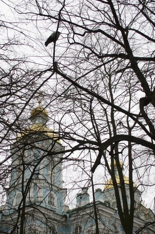 the building has a large spire surrounded by trees