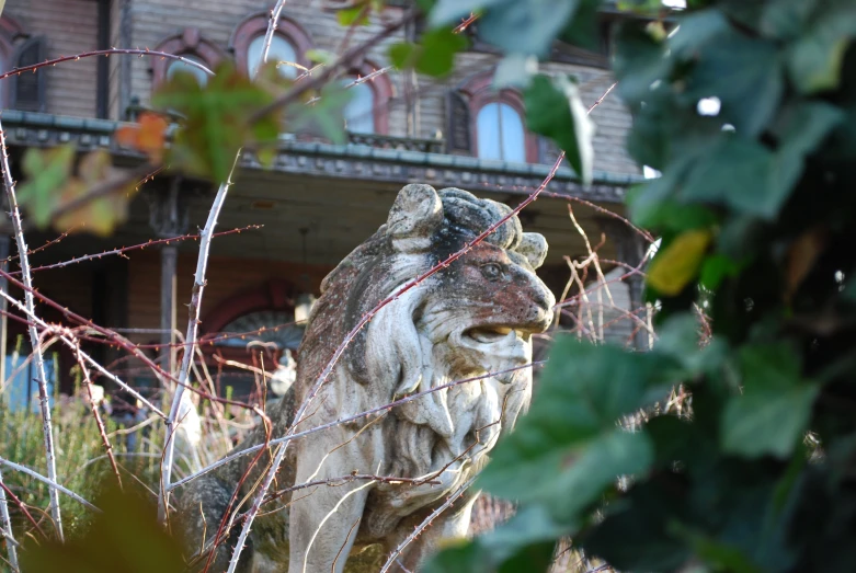 a statue of an owl in front of a building