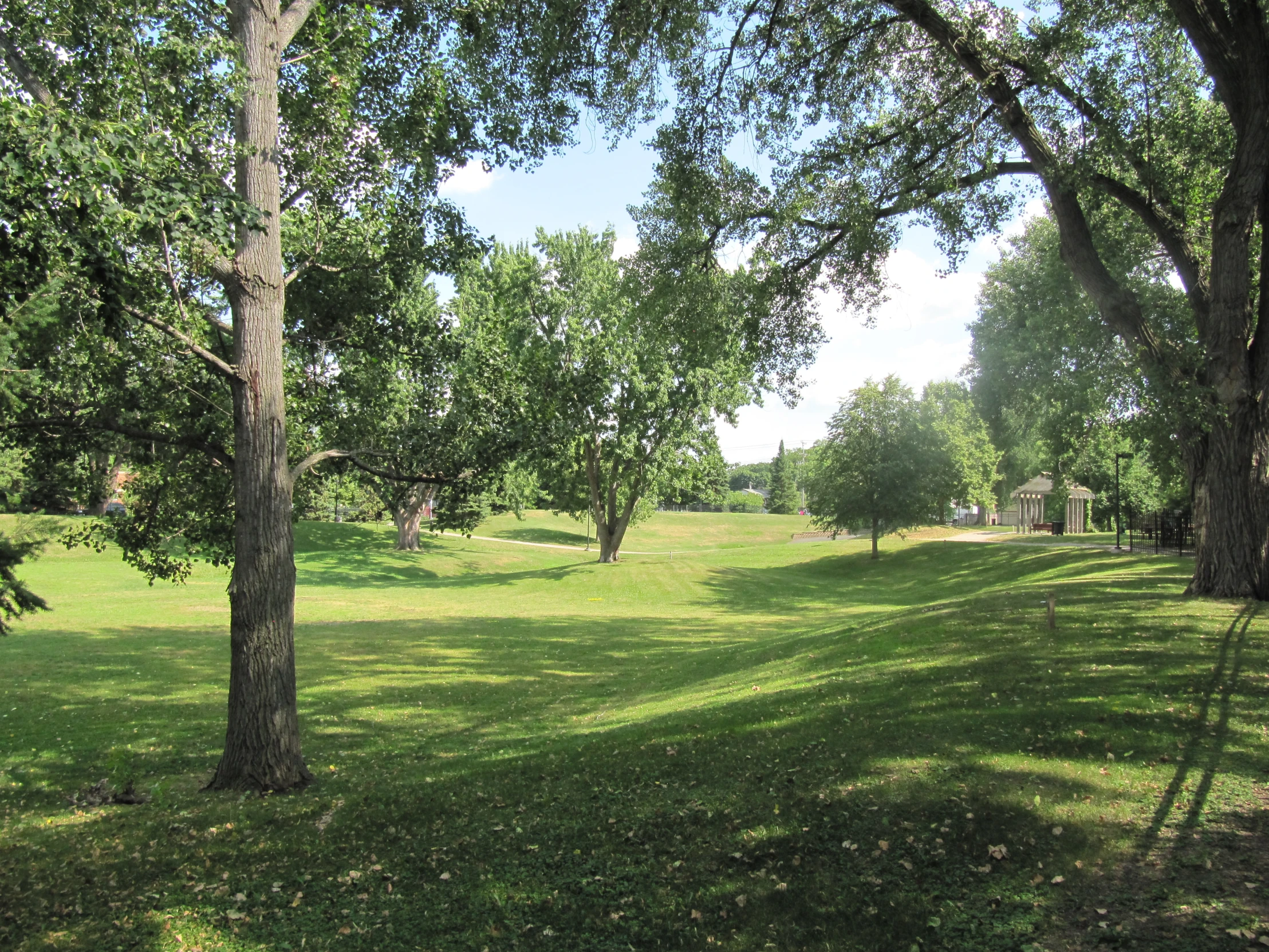 trees line a grassy field in the distance