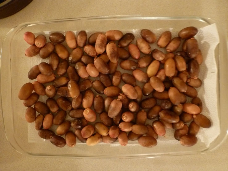 beans are sitting in a glass dish and one is on the ground