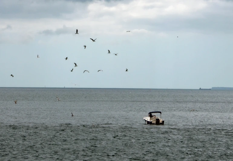 a small boat on the ocean with seagulls around it