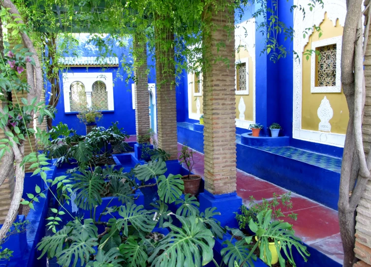 a building with lots of trees and plants growing in it