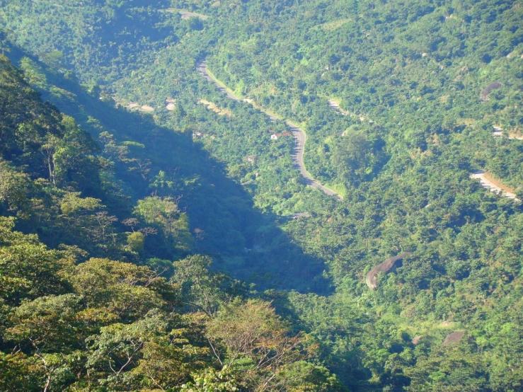 winding narrow road going through a lush green hillside