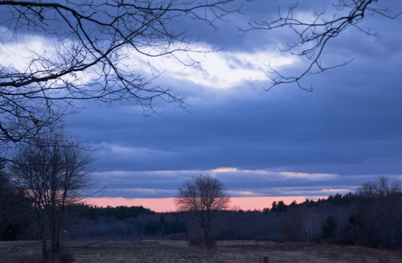 an empty field with bare trees in the foreground and a twilight sky behind