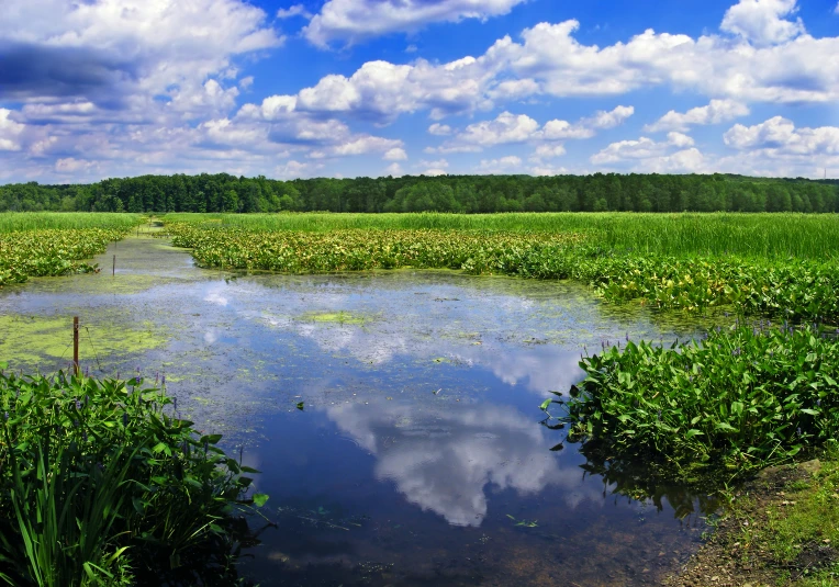 a field that is very calm with clouds in the sky