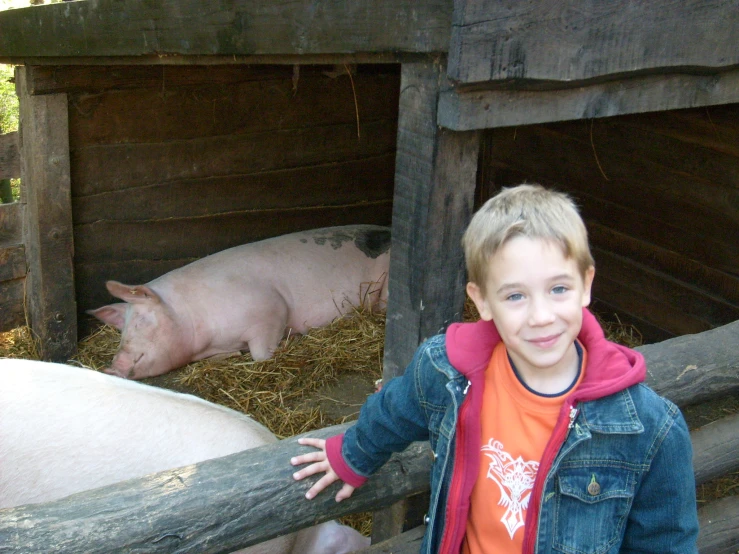 a  poses next to a pig in the barn