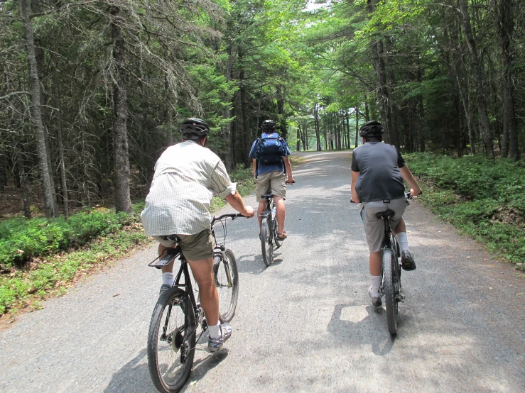 two men riding bicycles on a path among trees