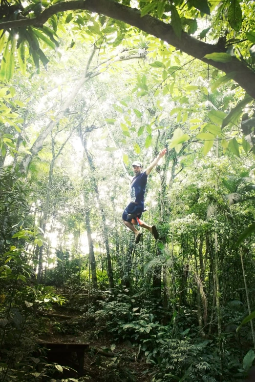 a man is riding a rope course in the woods