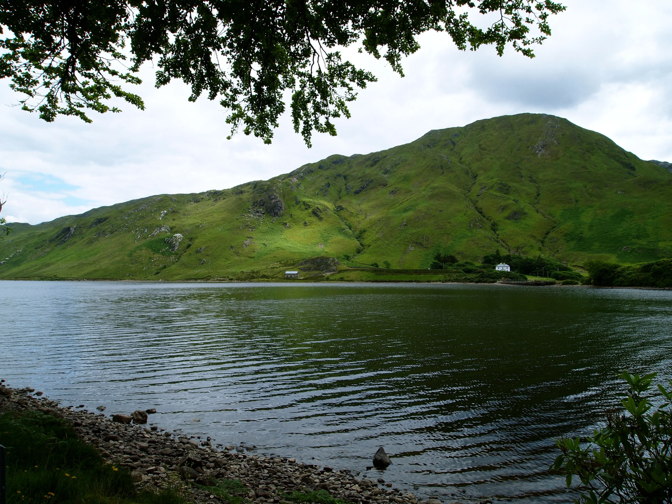 an overcast day on the shore of a lake