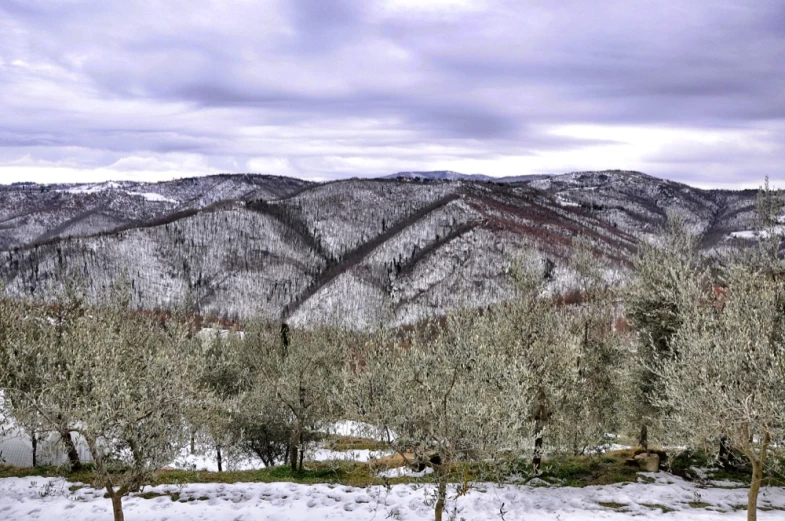 a snowy landscape with a mountain in the distance