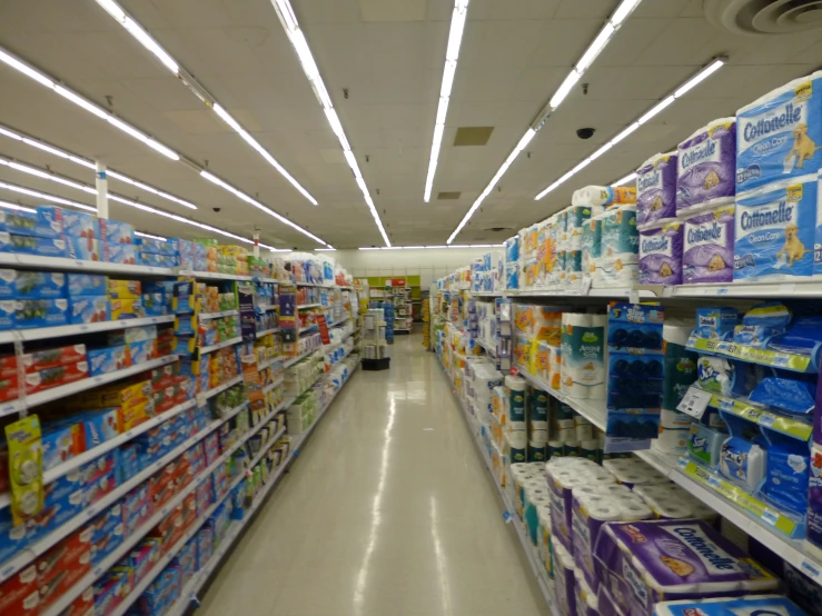 several rows of toilet paper and wipes are seen