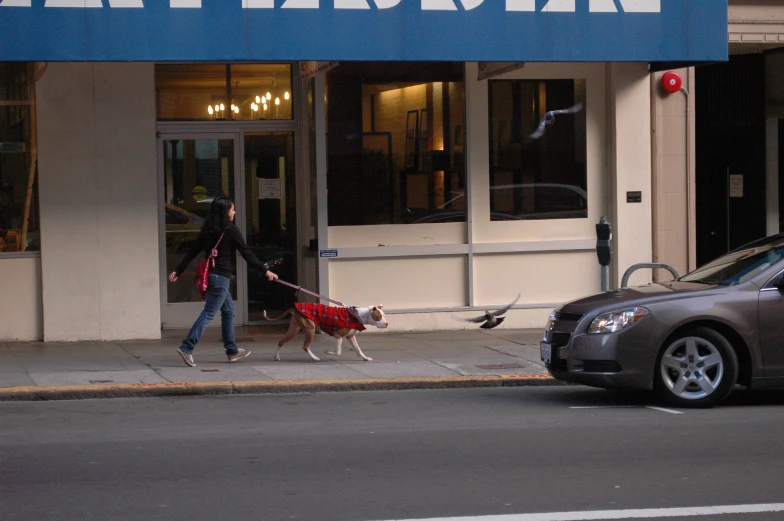 two women walking dogs down the street on leashes