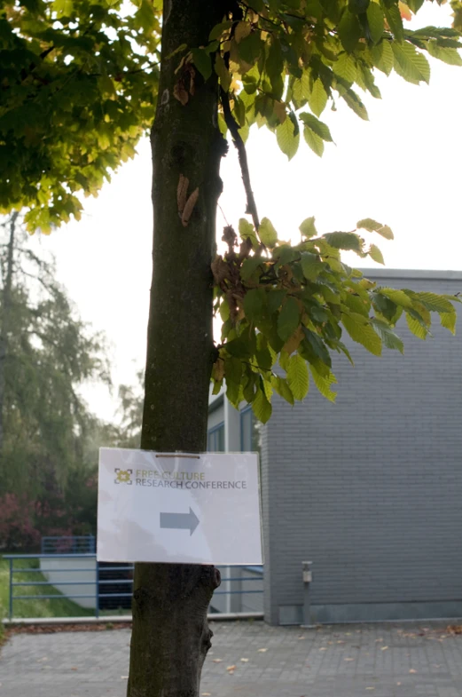 a paper sign hanging from a tree in the city