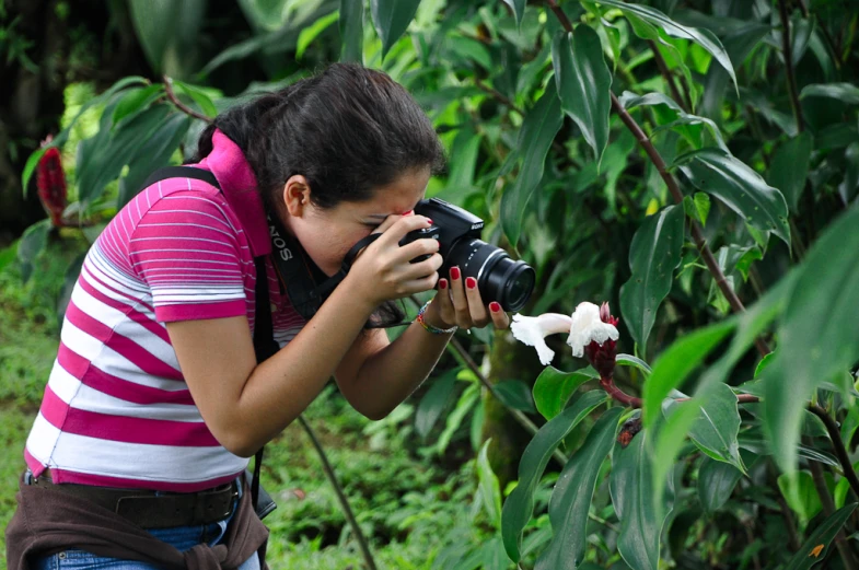 woman taking pograph through large flowered bushes