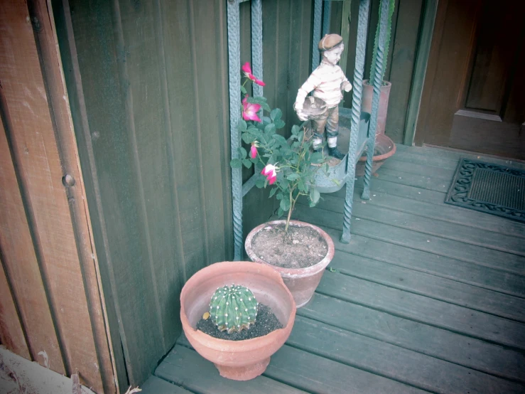 cactuses are arranged in clay pots on a porch