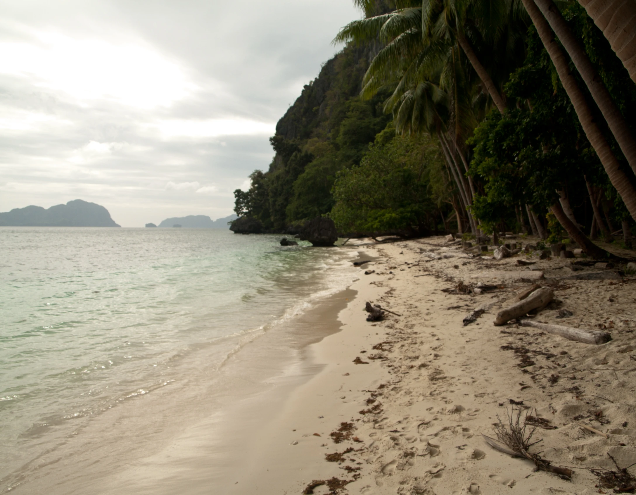 a sandy beach covered in palm trees next to the ocean