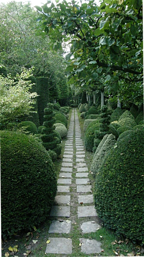 a path is bordered by green trees and rocks