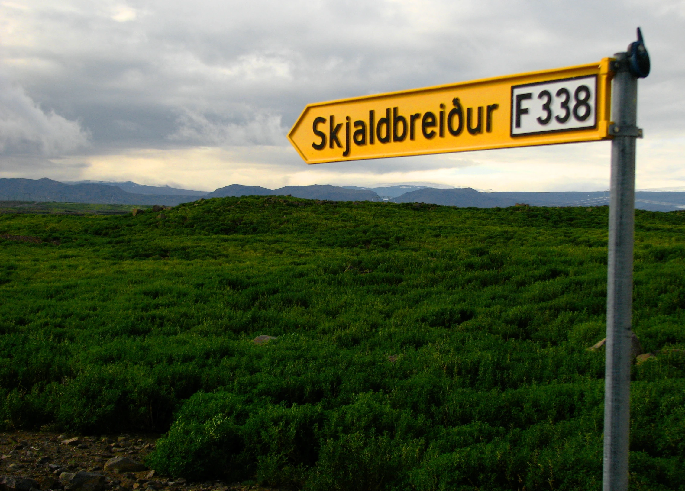 a street sign on the side of a road in a field