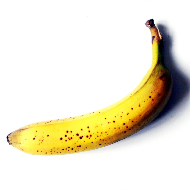 a close up of a banana on a white background