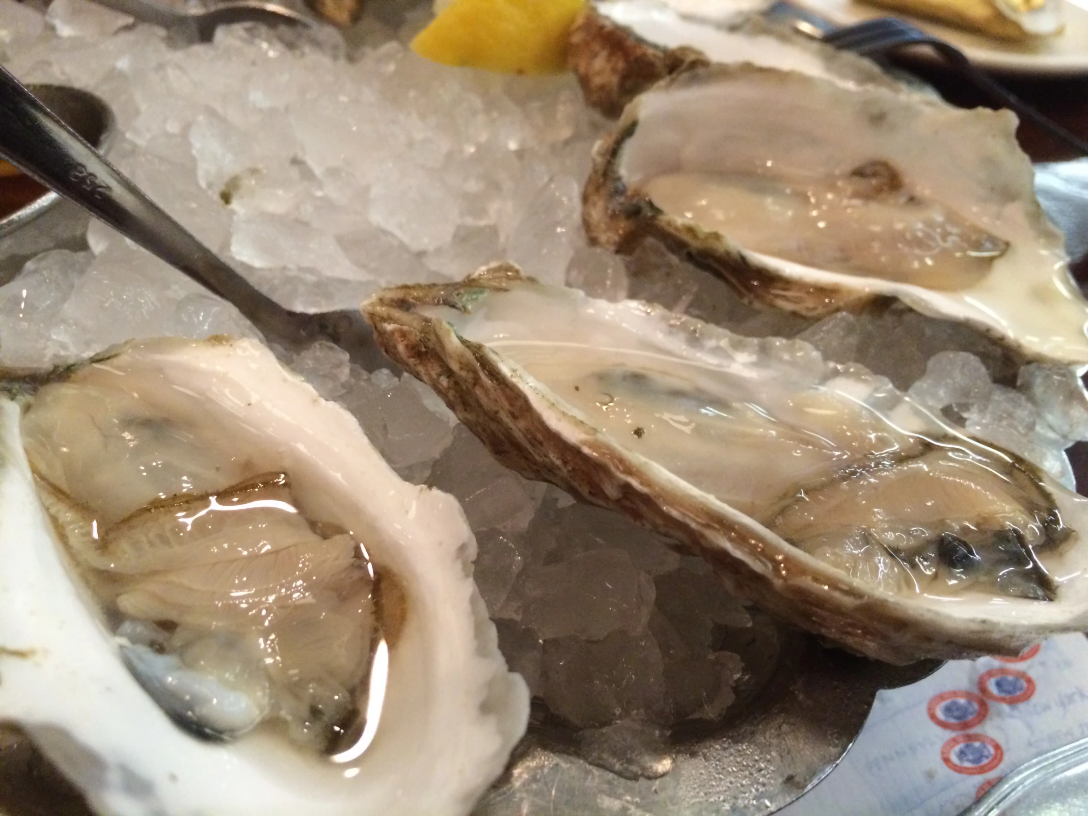 a silver tray topped with oysters and some ice