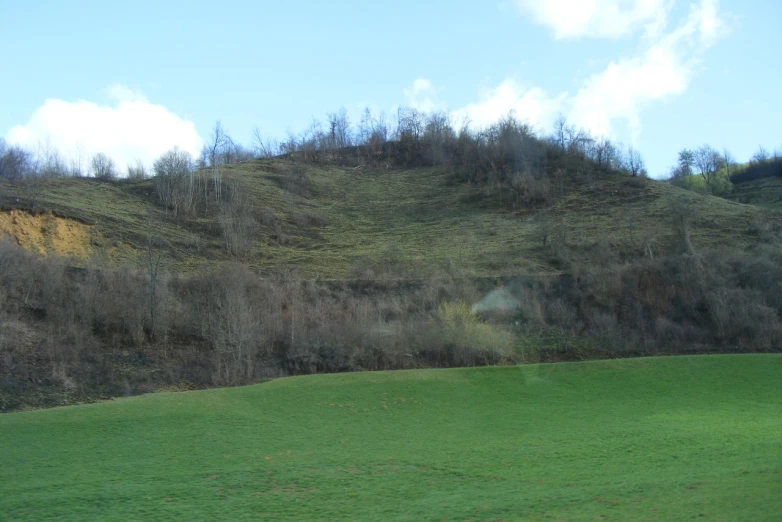 the hills are full of trees and green grass