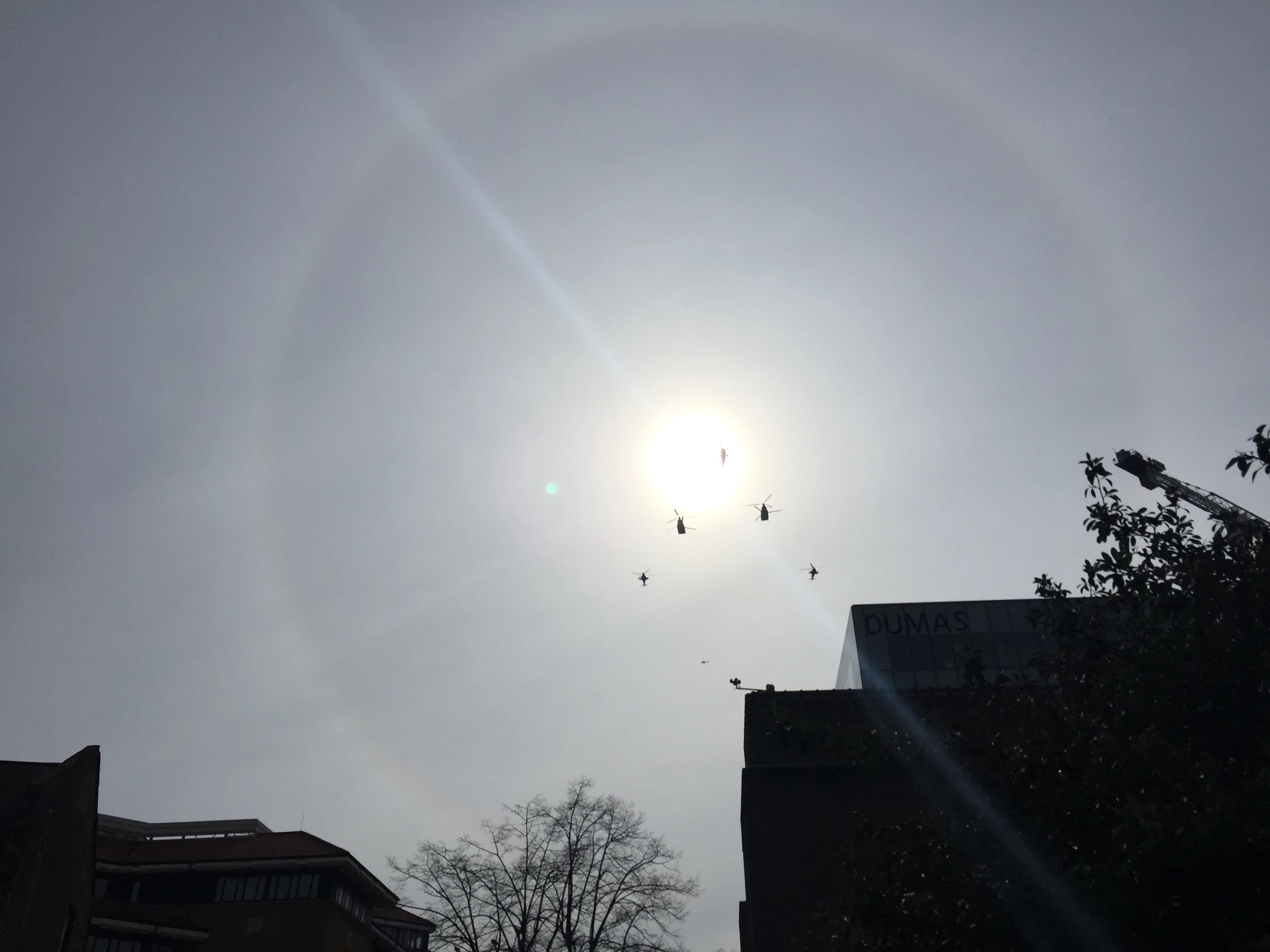 birds flying in the sun and some buildings