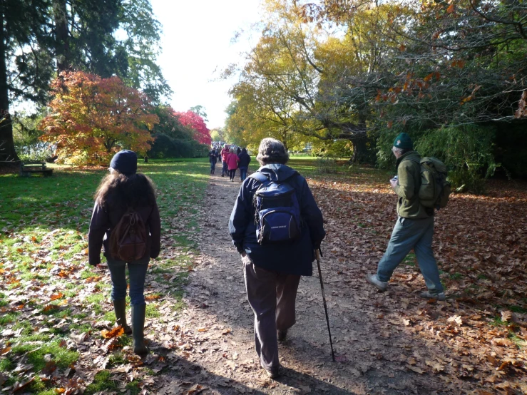 a group of people walk down a pathway