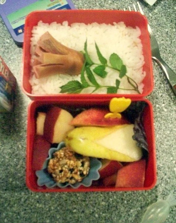 a plastic red lunch box holds a rice container with several different fruits in it