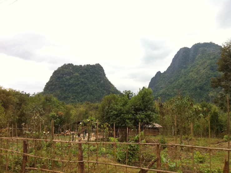 an elephant is standing on the grass by a fence